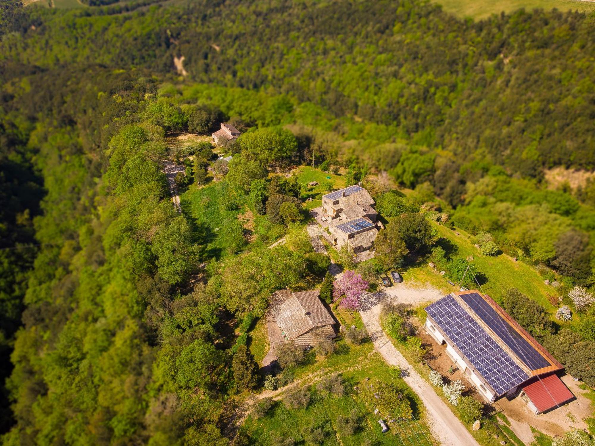 Agriturismo Fattoria Walden Ficulle Exterior foto
